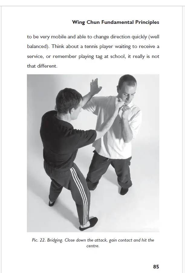 Alan gibson why wing chun works pdf 2