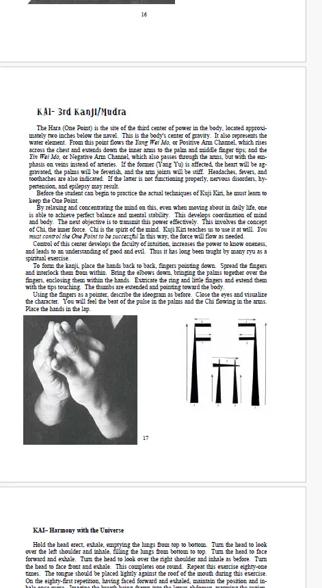 Ashida Kim Secrets Of The Ninja 2