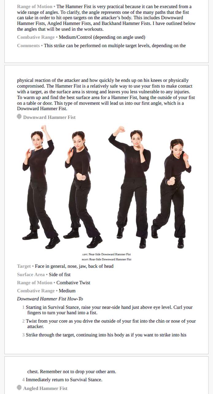 Avital zelsler weapons of fitness pdf 1