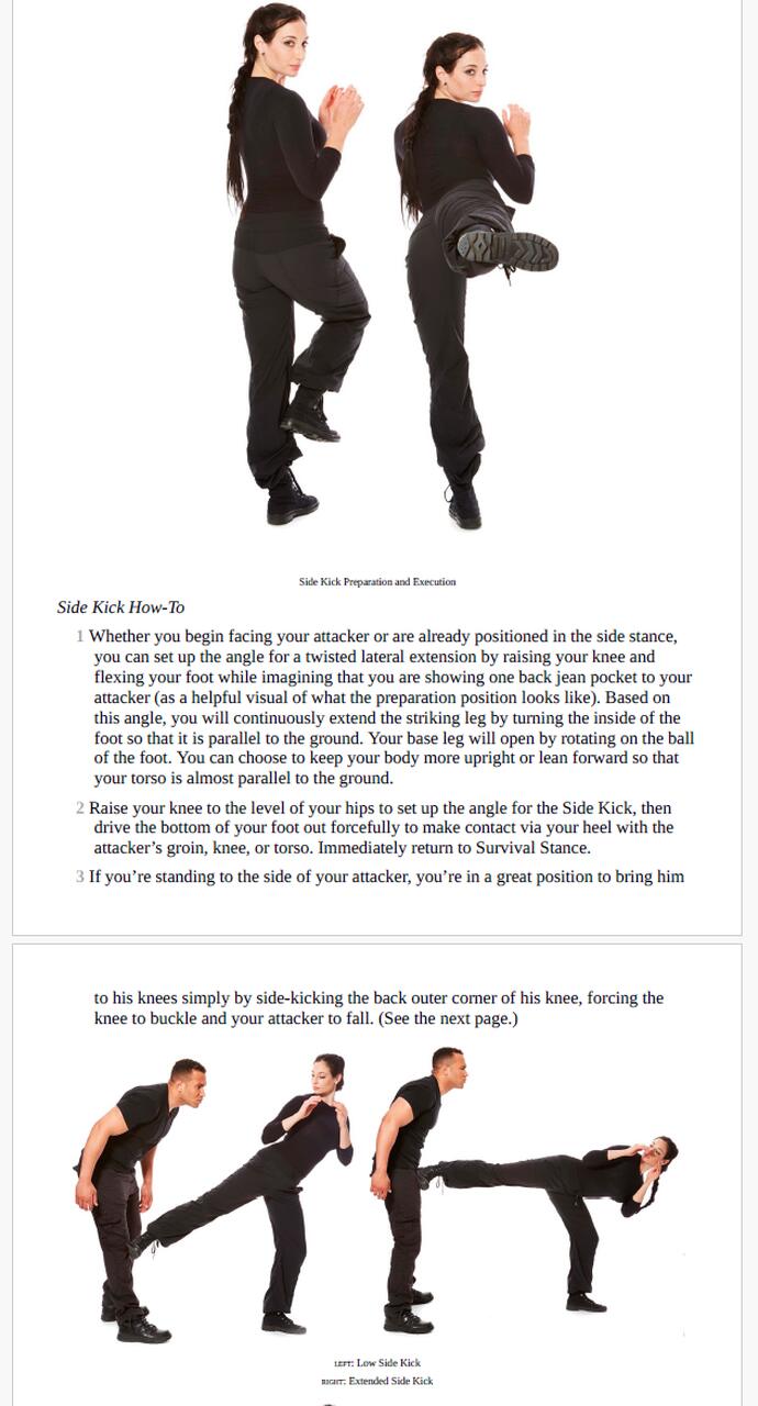 Avital zelsler weapons of fitness pdf 2