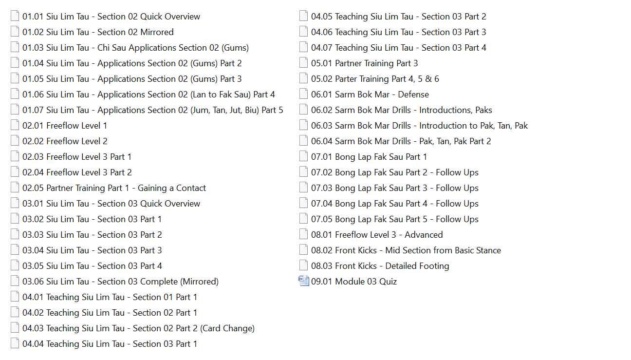 Colin ward wing chun on line module 01 to 03 3