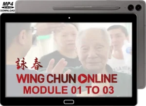 Colin ward wing chun on line module 01 to 03