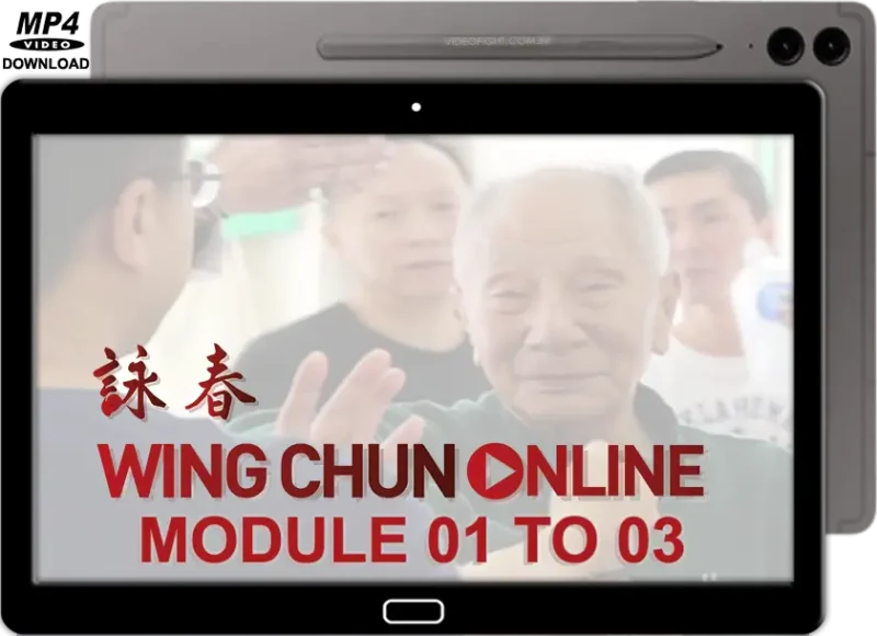 Colin ward wing chun on line module 01 to 03