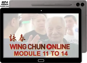 Colin ward wing chun on line module 11 to 14