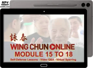 Colin ward wing chun on line module 15 to 18