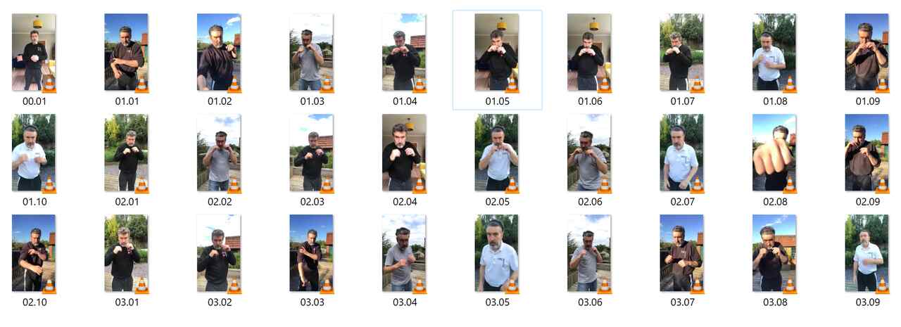 Colin ward wing chun on line module 15 to 18 virtual sparring