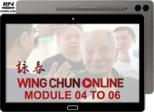 Colin ward – wing chun on line – module 04 to 06
