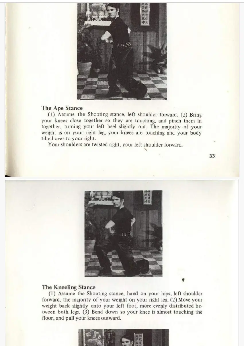 David chin michael staples hop gar kung fu 1