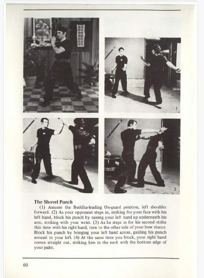 David chin michael staples hop gar kung fu 2