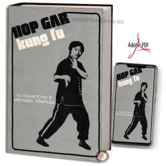 David chin michael staples hop gar kung fu