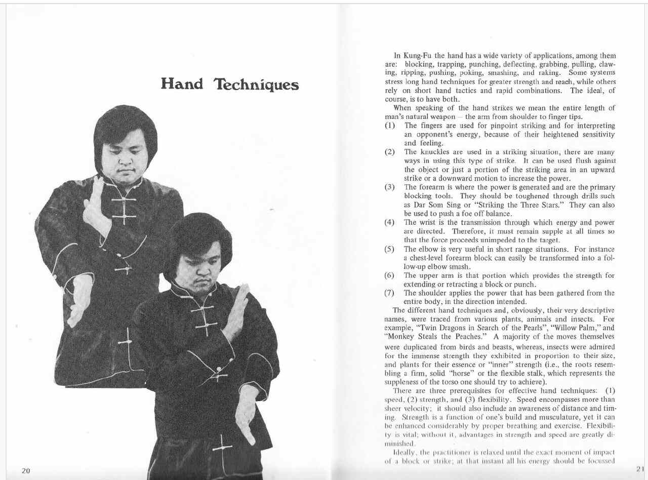 Douglas l. wong shaolin fighting theories & concepts 1