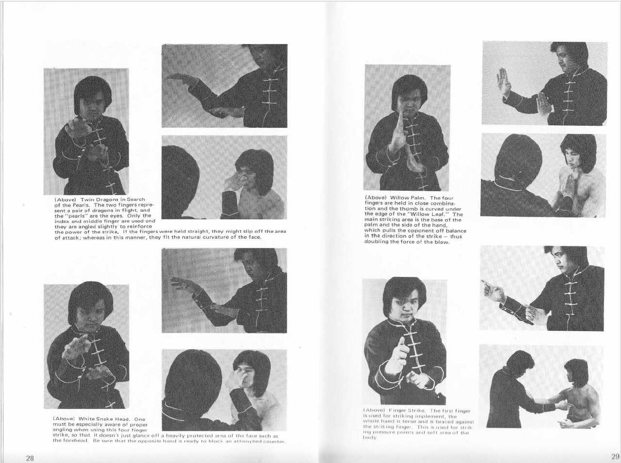 Douglas l. wong shaolin fighting theories & concepts 2