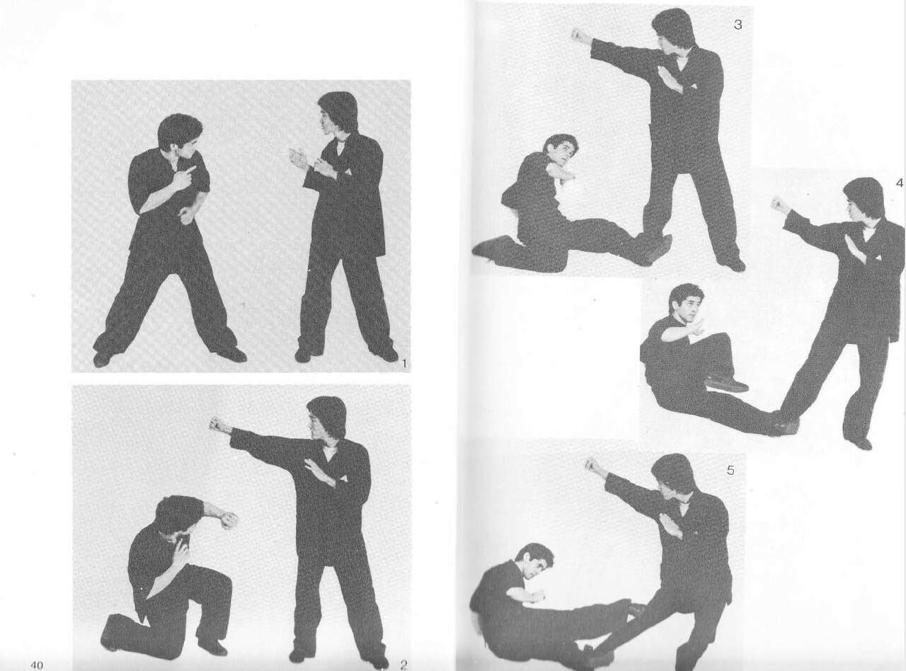 Douglas l. wong shaolin fighting theories & concepts 3