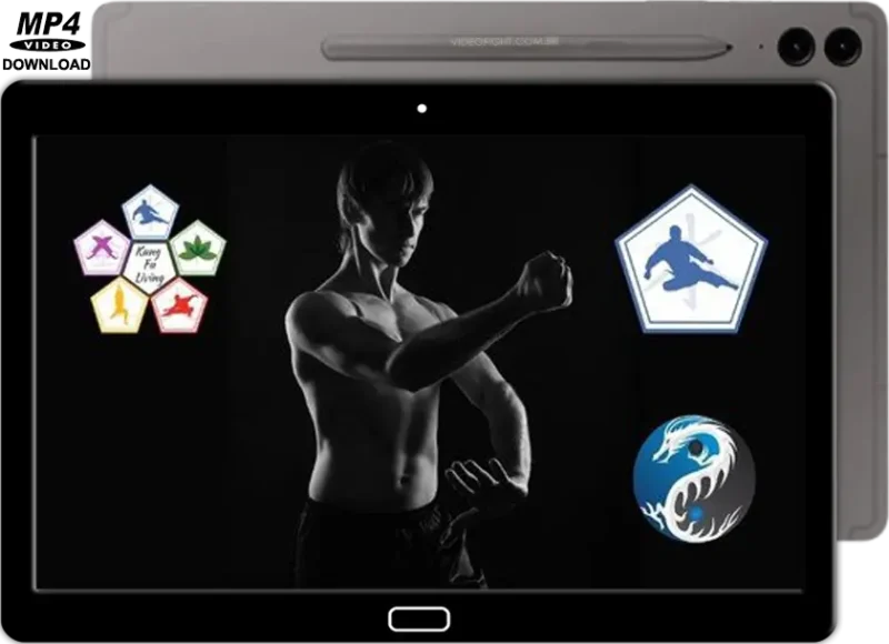 Learn kung fu on line intermediate