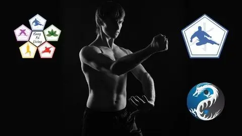 Learn kung fu on line intermediate course