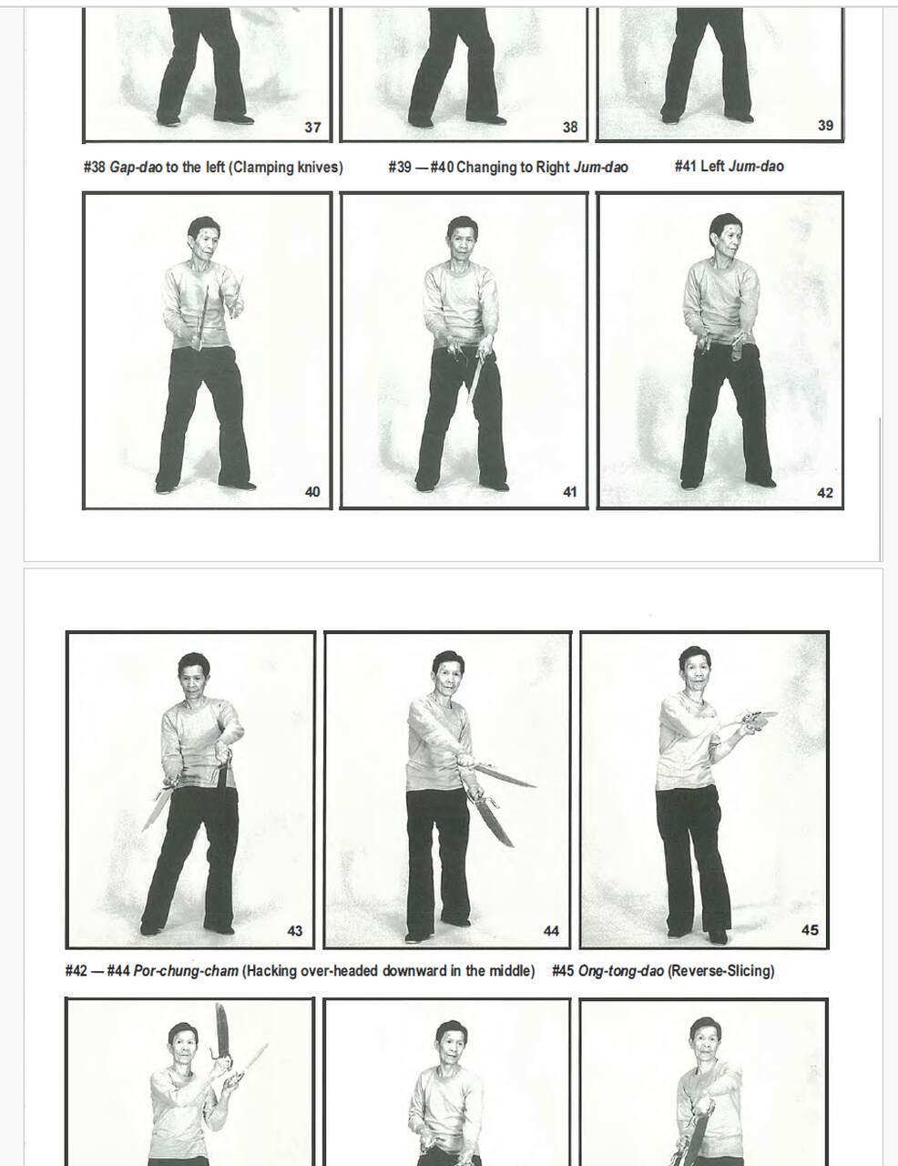 Leung ting roots & branches of wing tsun pdf 1
