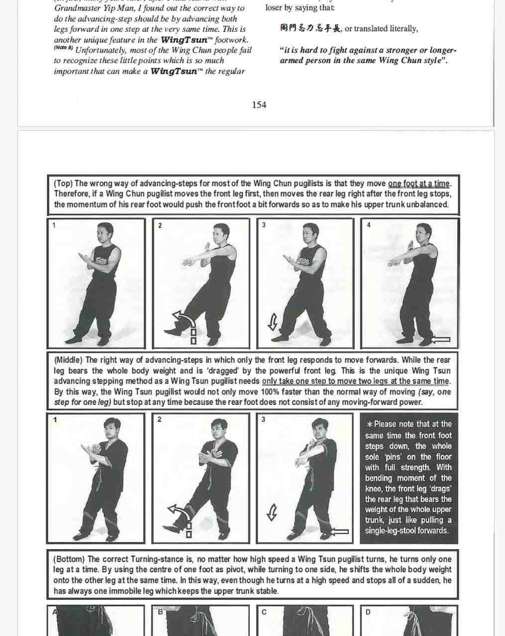 Leung ting roots & branches of wing tsun pdf 3