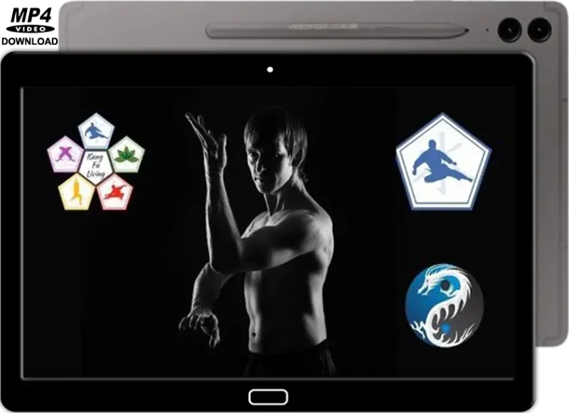 Learn kung fu online for beginners