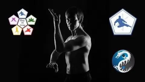 Learn kung fu online for beginners dvd