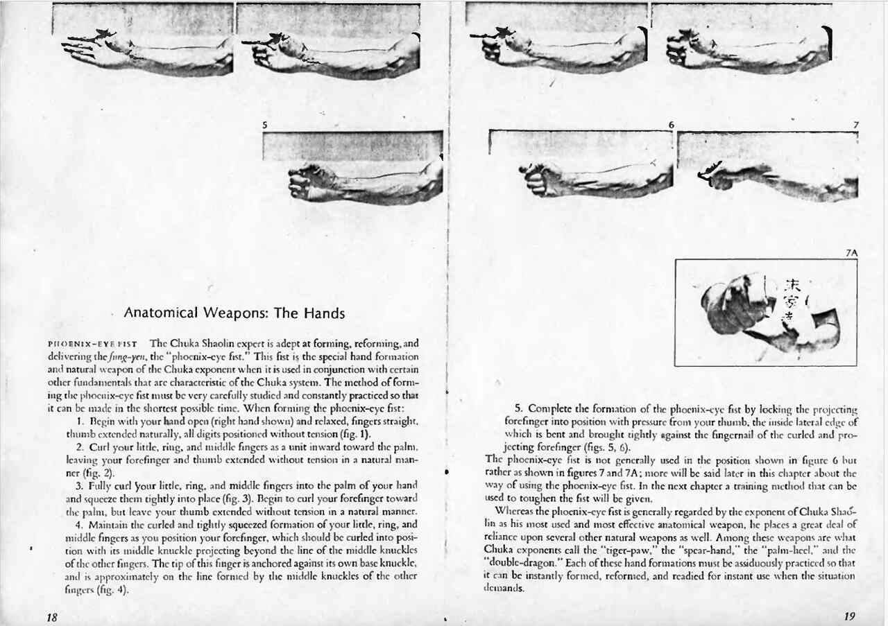 Phoenix eye fist a shaolin fighting art of south china pdf 1