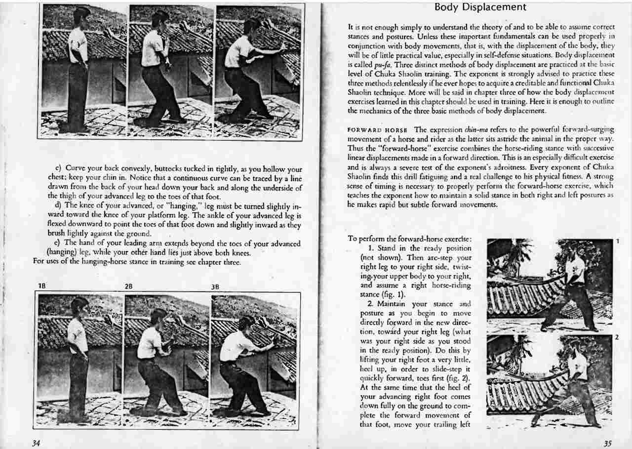 Phoenix eye fist a shaolin fighting art of south china pdf 2