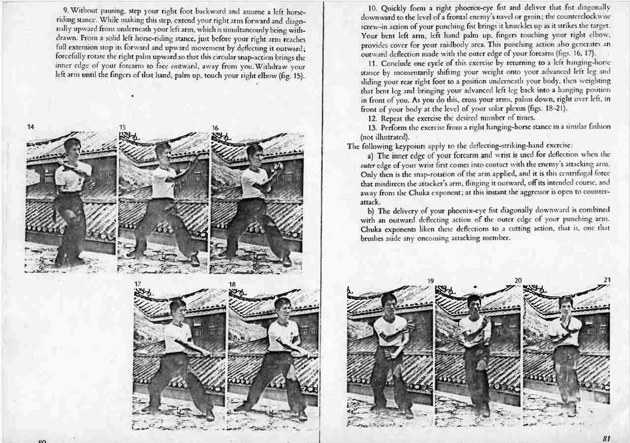 Phoenix eye fist a shaolin fighting art of south china pdf 3