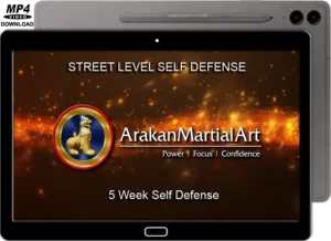 Robert kyaw arakan martial art street level self defense