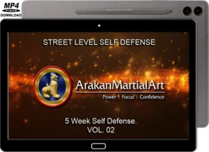 Robert kyaw arakan martial art street level self defense vol.02