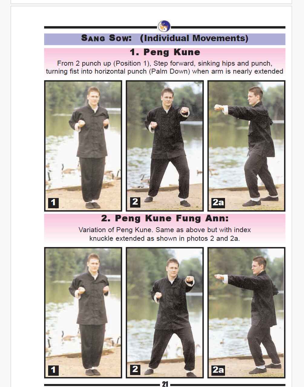 Simon wong yellow dragon fist kung fu level 01 pdf 2