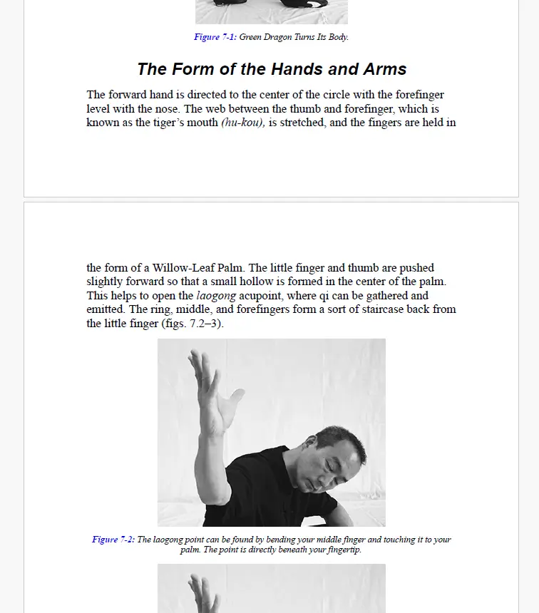 Starr phillip baguazhang. fundamentals, applications, and footwork 2021 1