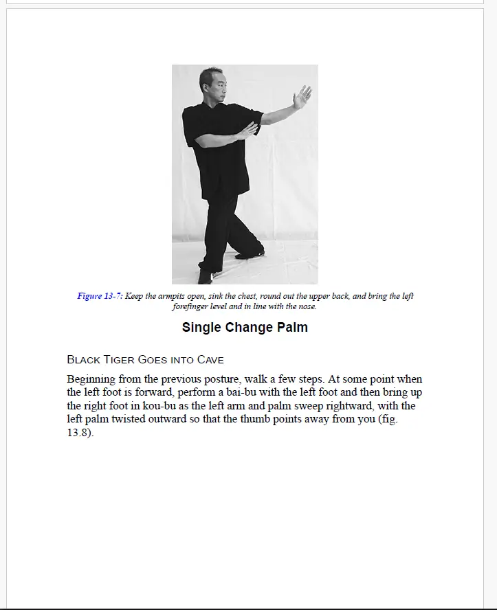 Starr phillip baguazhang. fundamentals, applications, and footwork 2021 2