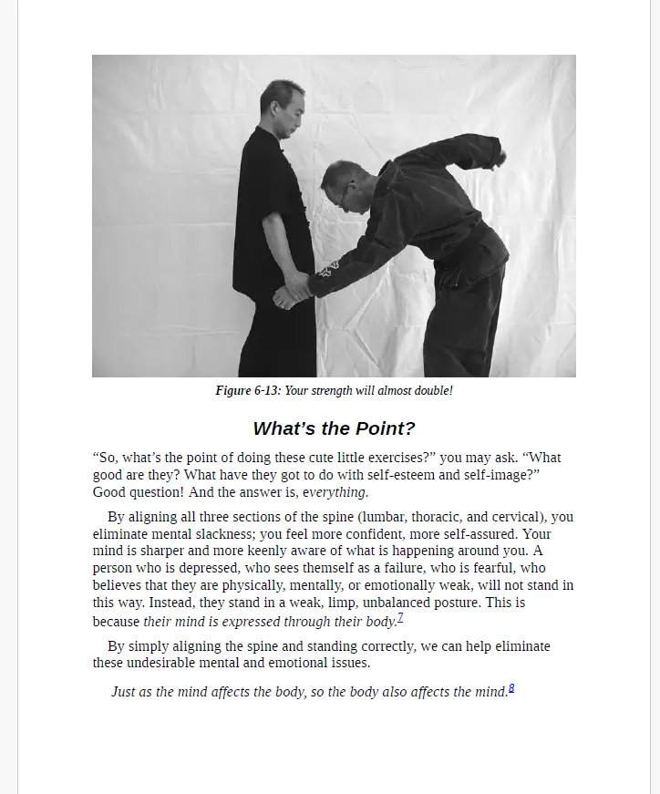 Starr phillip martial arts and the mirror image 2021 1