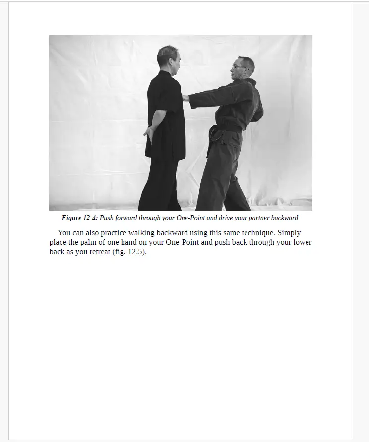 Starr phillip martial arts and the mirror image 2021 2