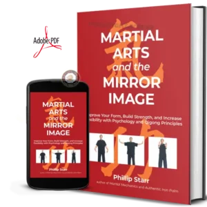 Starr phillip martial arts and the mirror image 2021