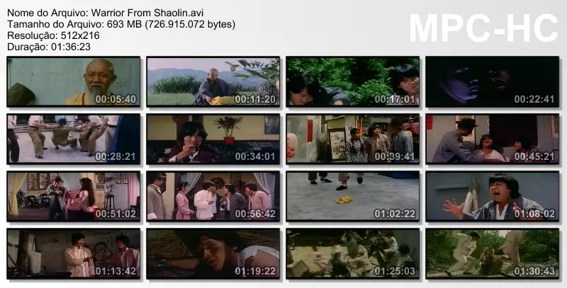 Warrior from shaolin.avi thumbs [2025.03.07 13.04.22]