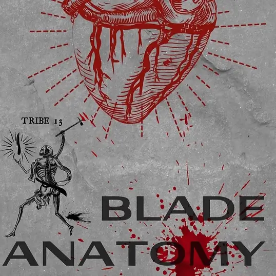 Blade anatomy video course