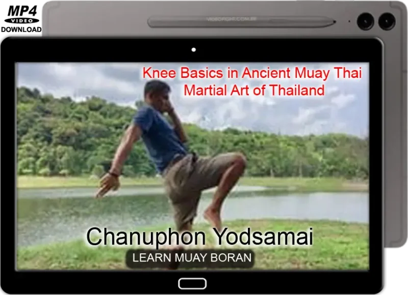 Chanuphon yodsamai knee basics in muai thay martial art of thailand