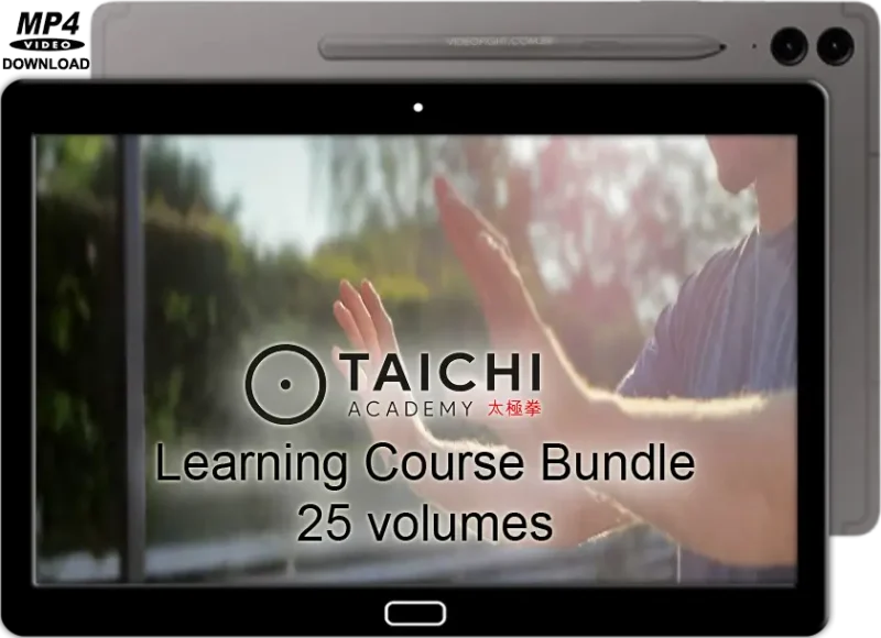 Chris davis the tai chi academy