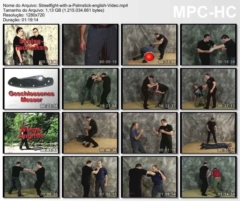 Dieter knuttel self defense with the palmstick cover