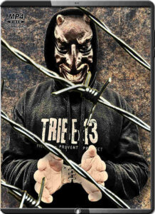 Florin escape 13 escape & evasion easy resize.com