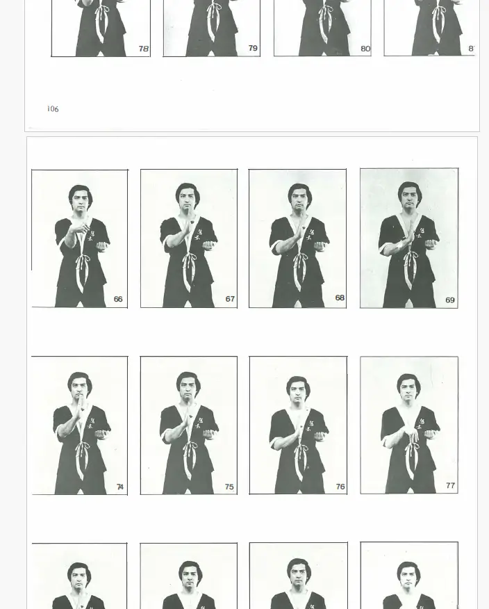 Leung ting wing tsun kuen pdf 1