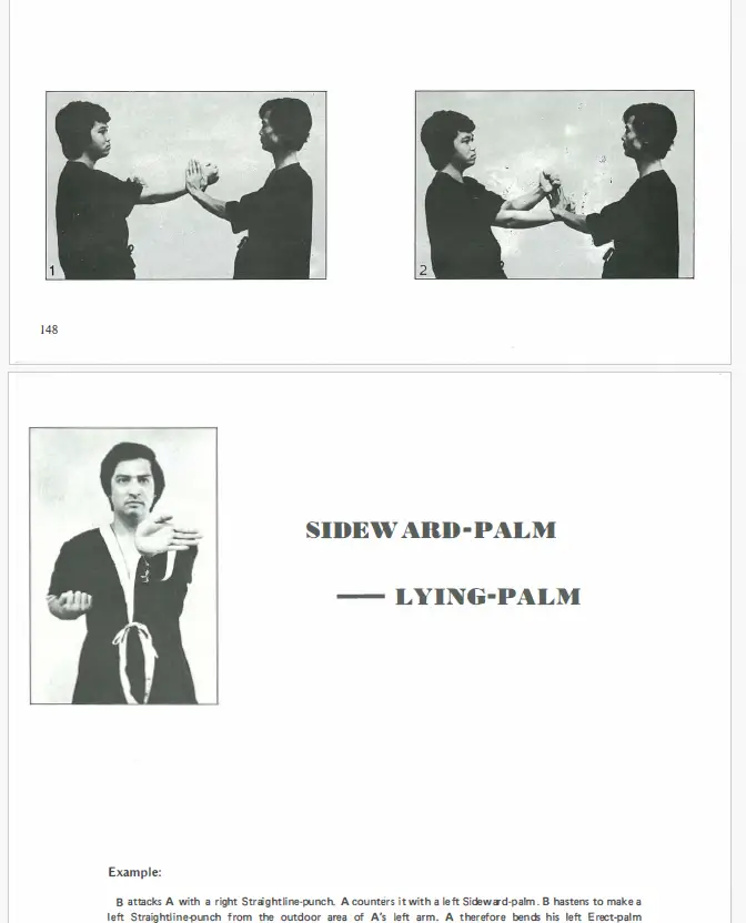 Leung ting wing tsun kuen pdf 2