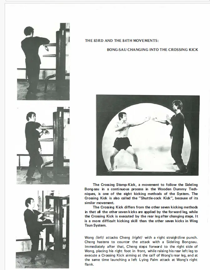 Leung ting wing tsun kuen pdf 3