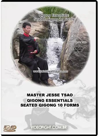 Qigong essentials seated qigong 10 forms
