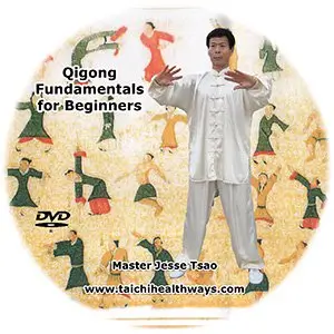 Qigong fundamentals for beginners cover