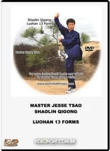 Shaolin qigong luohan 13 forms