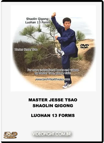 Shaolin qigong luohan 13 forms
