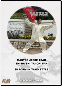 Shi ba shi tai chi fan 18 forms in yang style
