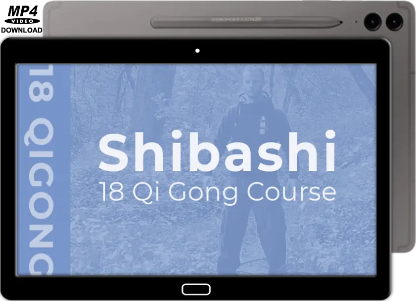 Shibashi qigong for tai chi