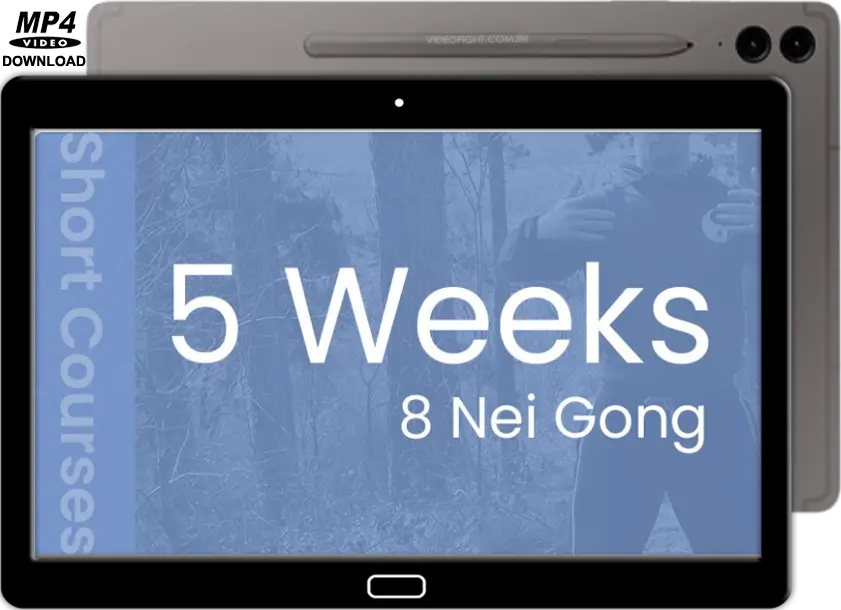 (weekly) 5 weeks of nei gong